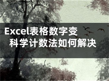 Excel表格數(shù)字變科學(xué)計(jì)數(shù)法如何解決