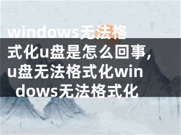 windows無法格式化u盤是怎么回事,u盤無法格式化windows無法格式化