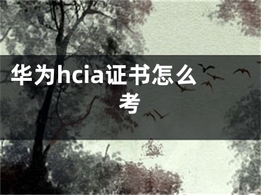 華為hcia證書怎么考