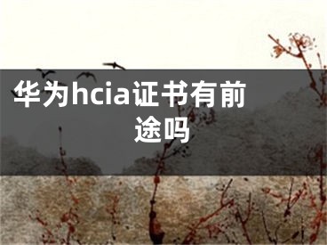 華為hcia證書有前途嗎