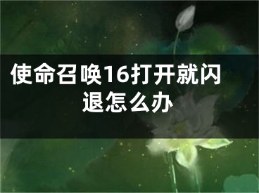 使命召喚16打開就閃退怎么辦