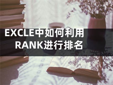 EXCLE中如何利用RANK進(jìn)行排名