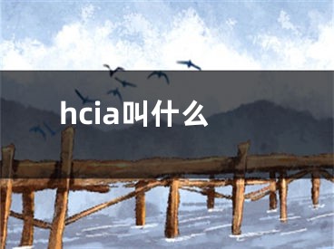 hcia叫什么