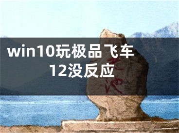 win10玩極品飛車12沒反應(yīng)