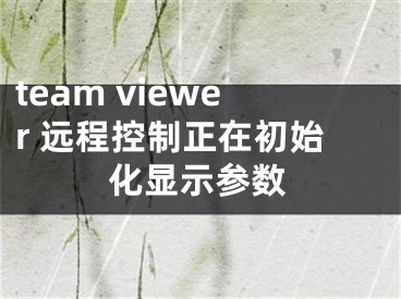 team viewer 遠(yuǎn)程控制正在初始化顯示參數(shù)