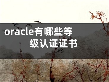 oracle有哪些等級認(rèn)證證書