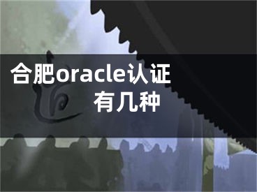 合肥oracle認(rèn)證有幾種