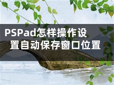 PSPad怎樣操作設(shè)置自動(dòng)保存窗口位置