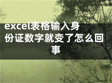 excel表格輸入身份證數(shù)字就變了怎么回事