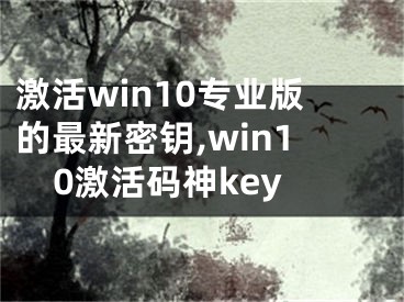 激活win10專業(yè)版的最新密鑰,win10激活碼神key