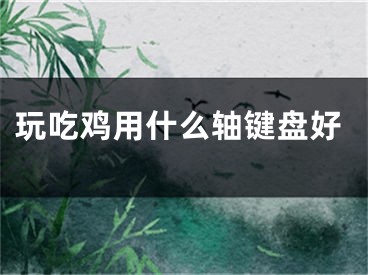 玩吃雞用什么軸鍵盤(pán)好