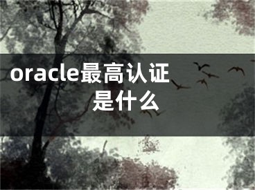 oracle最高認(rèn)證是什么