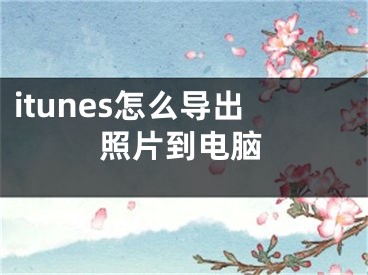 itunes怎么導(dǎo)出照片到電腦