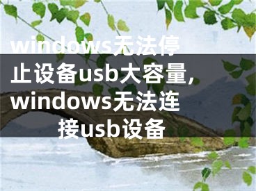 windows無法停止設備usb大容量,windows無法連接usb設備