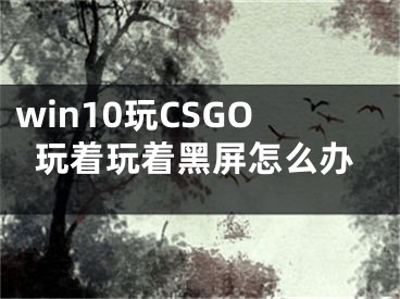 win10玩CSGO玩著玩著黑屏怎么辦