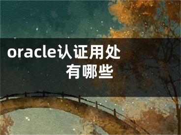 oracle認(rèn)證用處有哪些