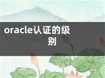 oracle認(rèn)證的級別