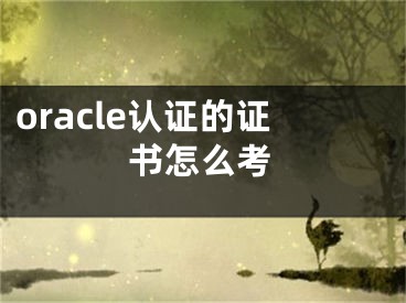 oracle認(rèn)證的證書怎么考