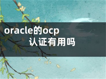 oracle的ocp認(rèn)證有用嗎