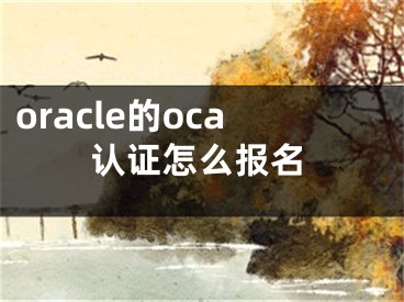 oracle的oca認(rèn)證怎么報(bào)名