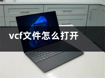 vcf文件怎么打開