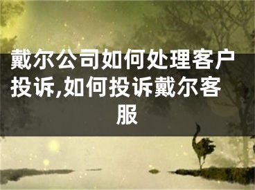 戴爾公司如何處理客戶投訴,如何投訴戴爾客服