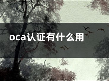 oca認(rèn)證有什么用