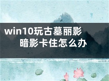 win10玩古墓麗影暗影卡住怎么辦