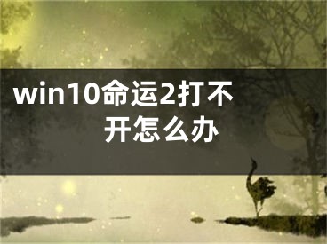 win10命運2打不開怎么辦