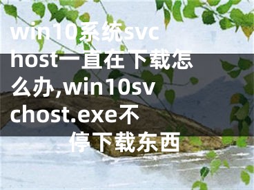 win10系統(tǒng)svchost一直在下載怎么辦,win10svchost.exe不停下載東西