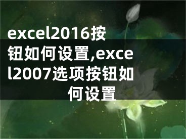 excel2016按鈕如何設(shè)置,excel2007選項按鈕如何設(shè)置