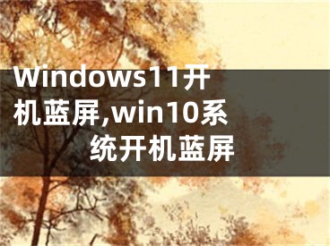 Windows11開機(jī)藍(lán)屏,win10系統(tǒng)開機(jī)藍(lán)屏