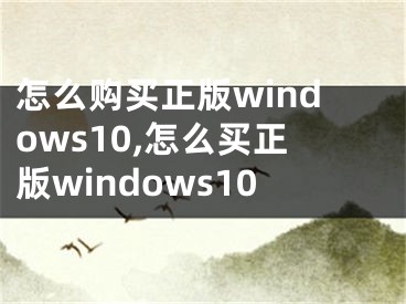 怎么購買正版windows10,怎么買正版windows10