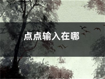 點(diǎn)點(diǎn)輸入在哪