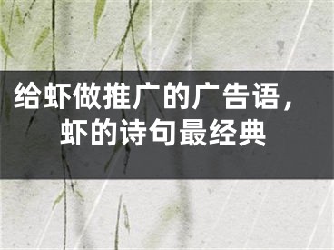 給蝦做推廣的廣告語，蝦的詩句最經(jīng)典