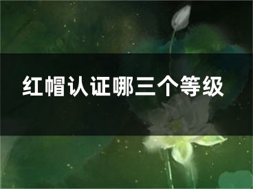 紅帽認證哪三個等級