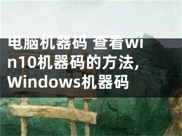 電腦機(jī)器碼 查看win10機(jī)器碼的方法,Windows機(jī)器碼