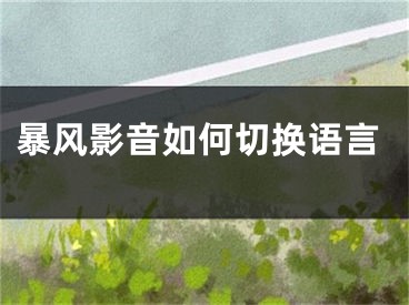 暴風影音如何切換語言