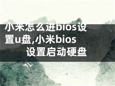 小米怎么進(jìn)bios設(shè)置u盤,小米bios設(shè)置啟動(dòng)硬盤