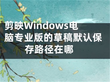 剪映Windows電腦專業(yè)版的草稿默認(rèn)保存路徑在哪 