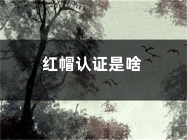 紅帽認(rèn)證是啥