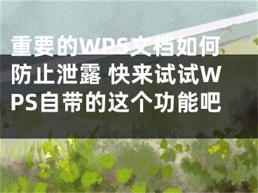 重要的WPS文檔如何防止泄露 快來(lái)試試WPS自帶的這個(gè)功能吧 