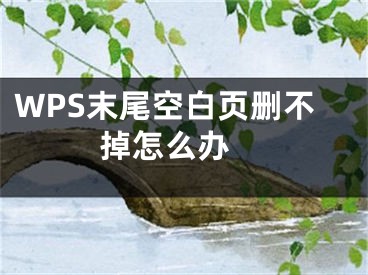 WPS末尾空白頁(yè)刪不掉怎么辦 