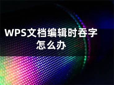 WPS文檔編輯時(shí)吞字怎么辦 