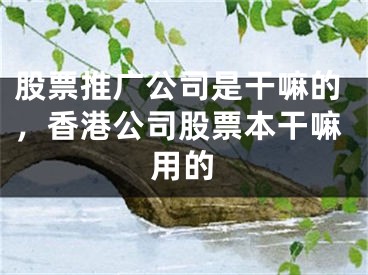 股票推廣公司是干嘛的，香港公司股票本干嘛用的