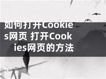 如何打開Cookies網(wǎng)頁 打開Cookies網(wǎng)頁的方法