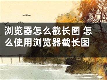 瀏覽器怎么截長(zhǎng)圖 怎么使用瀏覽器截長(zhǎng)圖 