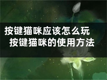 按鍵貓咪應(yīng)該怎么玩 按鍵貓咪的使用方法