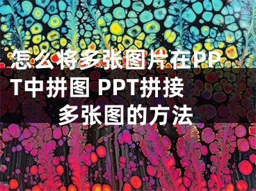 怎么將多張圖片在PPT中拼圖 PPT拼接多張圖的方法