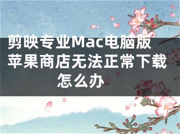 剪映專業(yè)Mac電腦版蘋果商店無法正常下載怎么辦 